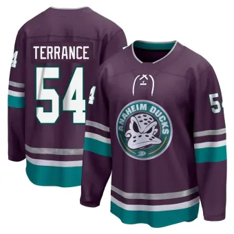 Men's Carey Terrance Anaheim Ducks 30th Anniversary Premier Jersey - Purple Breakaway