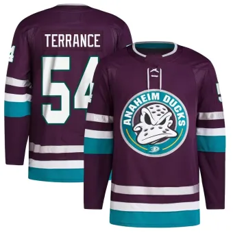 Men's Carey Terrance Anaheim Ducks 30th Anniversary Primegreen Jersey - Purple Authentic