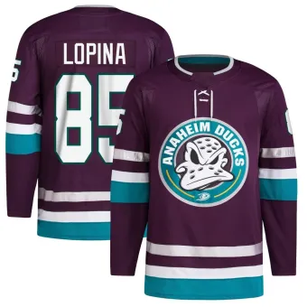 Men's Josh Lopina Anaheim Ducks 30th Anniversary Primegreen Jersey - Purple Authentic