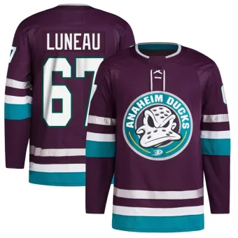 Men's Tristan Luneau Anaheim Ducks 30th Anniversary Primegreen Jersey - Purple Authentic